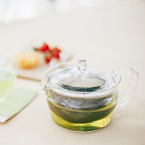 ChaCha Kyusu "Zen" Tea Pot