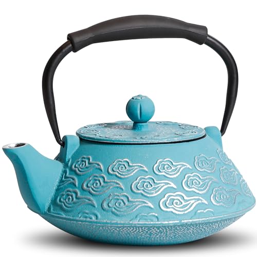 Cast Iron Teapot