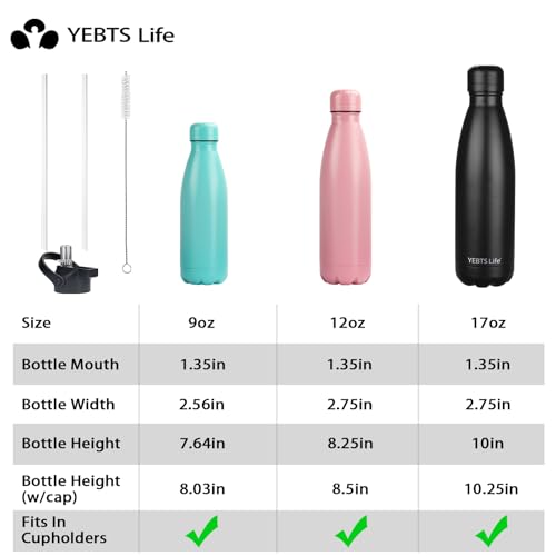 Insulated Water Bottle (2 Count)