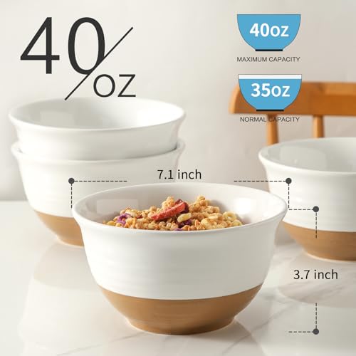Large Ceramic Soup Bowls Set of 4 (4 Count)