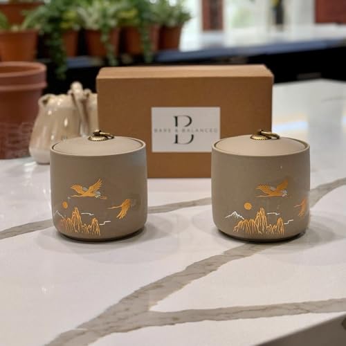 Ceramic Canister with Airtight Lid (2 Count)