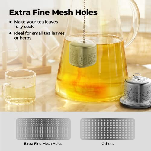 2 Pack 304 Stainless Steel Tea Infuser for Loose Leaf Tea (2 Count)