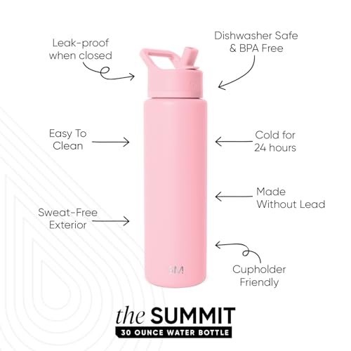 Insulated Water Bottle with Straw