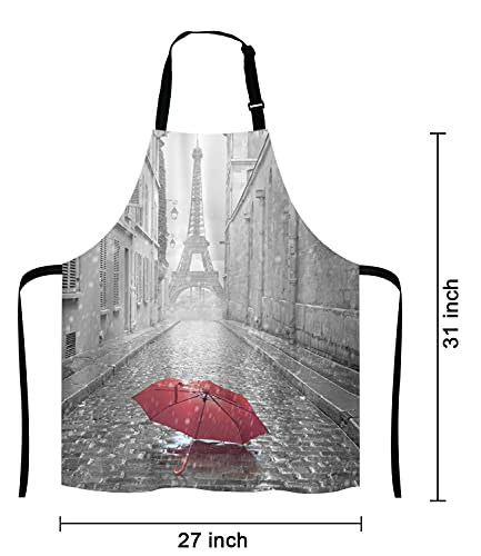 Paris France Apron