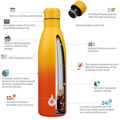 25 oz Insulated Stainless Steel Water Bottle
