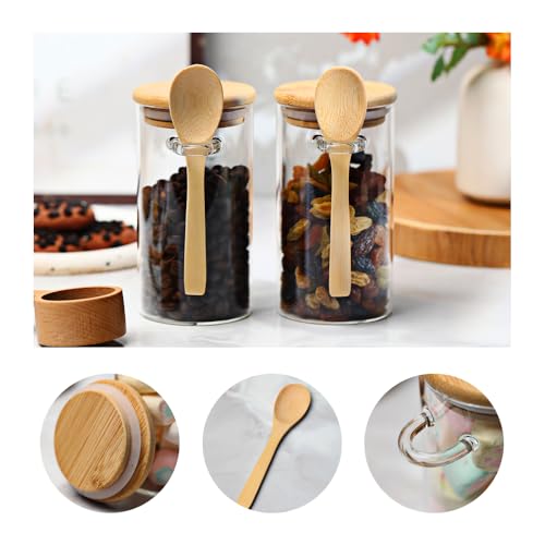 Glass Sugar Container with Spoon (8 Count)