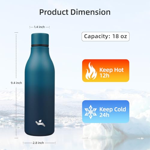 18 oz Insulated Stainless Steel Metal Water Bottle with Strap