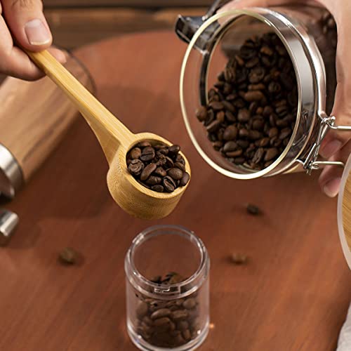 Coffee Container with Shelf (6 Count)