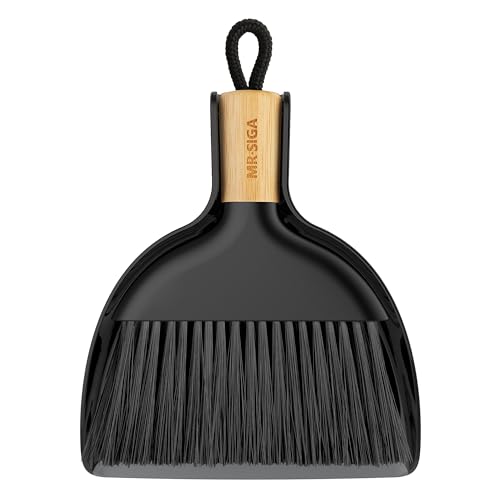 Mini Dustpan and Brush Set
