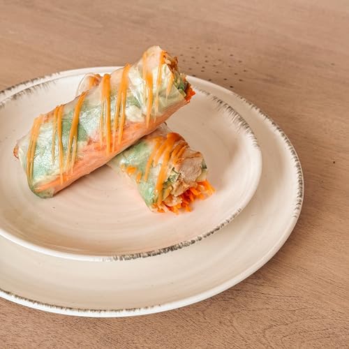 Ceramic Helix Swirl Dinner Plates Set of 6 (6 Count)