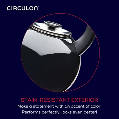Enamel on Steel Whistling Induction Teakettle