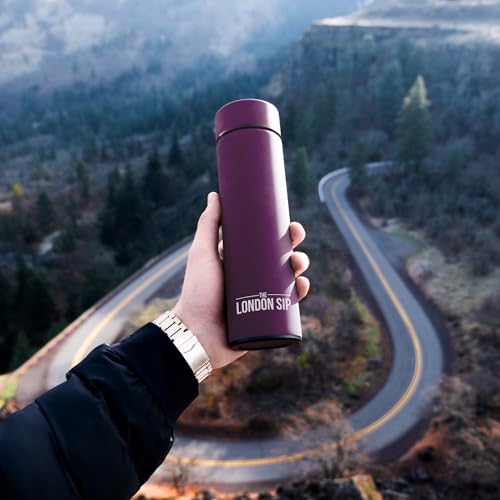 Multi Purpose Travel Mug and Tumbler Fruit Infused Flask Hot and Cold Double Wall Stainless Steel Thermos with Extra