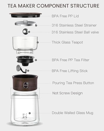 Small Glass Tea Infuser Pot