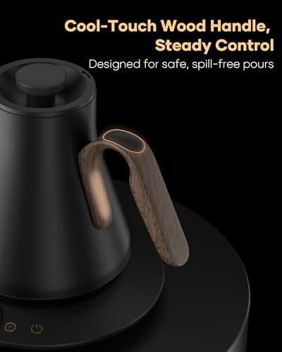 Gooseneck Electric Kettle