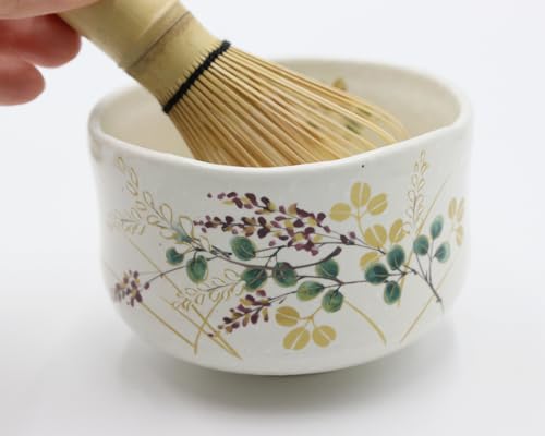 Japanese Traditional Handcrafted Matcha Chawan Tea Bowl Cup Set of 5 Ceremony Tableware Pottery