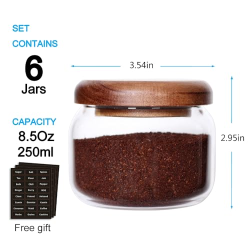 Kitchen Canisters Set of 6