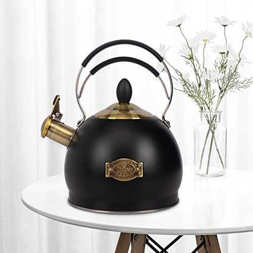 Whistling Tea Kettle Stainless Steel Teapot