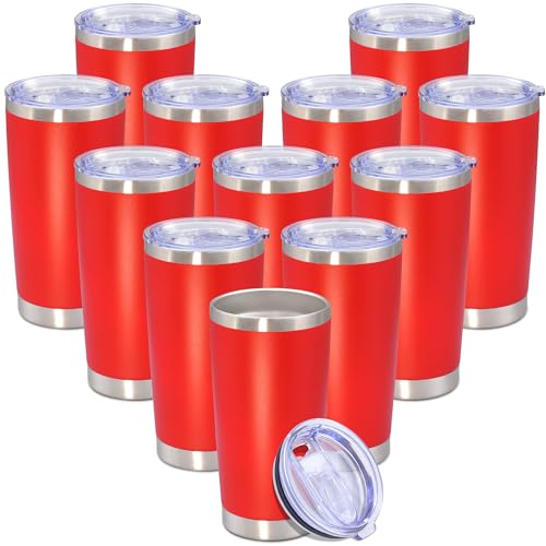 20 oz Tumbler Insulated Tumblers Stainless Steel Coffee Mug