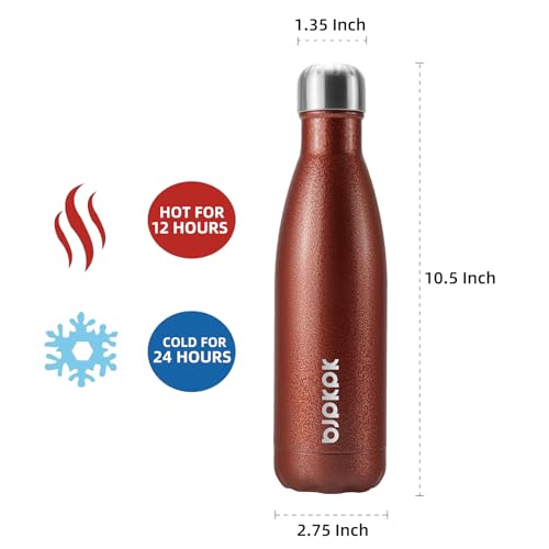 17 oz Small Insulated Water Bottle