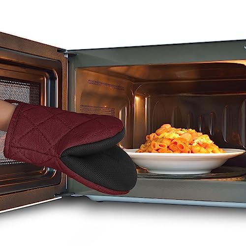 Mini Oven Mitts 2 (2 Count)