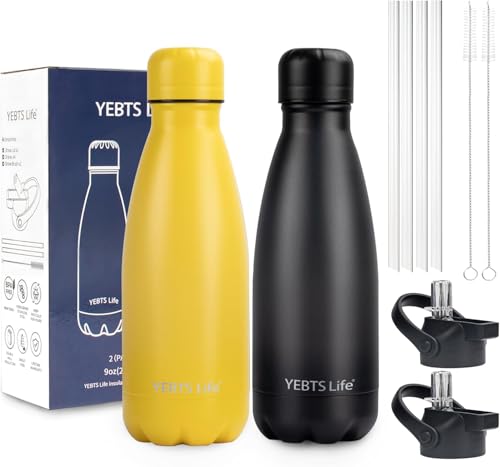 Insulated Water Bottle (2 Count)