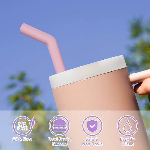 6PCS Stainless Steel Straws with Silicone Tip Fit for Stanley Cup (6 Count)