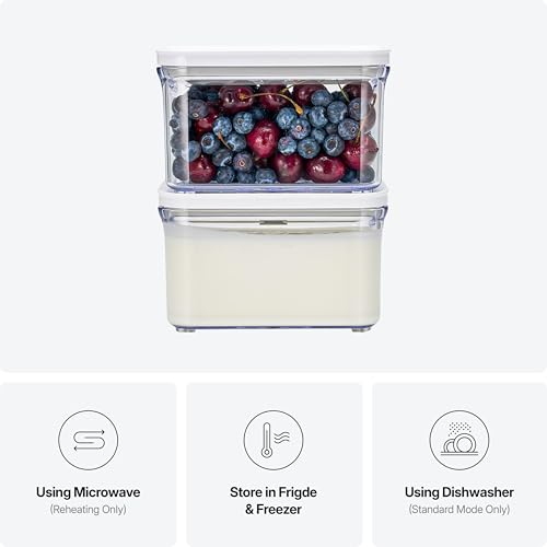 Premium Airtight Food Storage Containers
