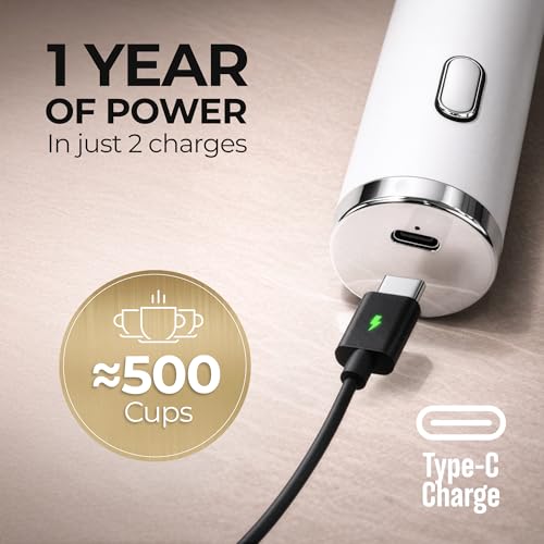 Rechargeable Milk Frother Handheld