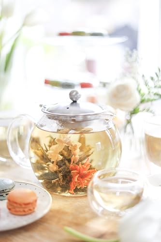 All-in-One Glass Teapot and Tea Kettle – Heatproof Borosilicate Glass Tea Maker with Removable Stainless Steel Loose Tea Infuser – Classica Stovetop Tea Pot (40 oz / 1200 ml)