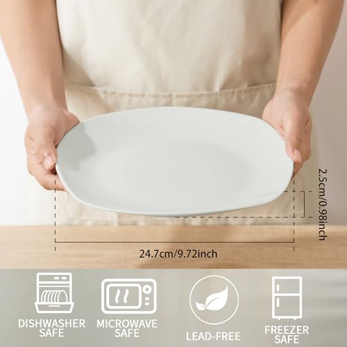 10" Square Dinner Plates Set of 4 (4 Count)