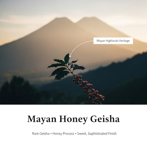 Mayan Honey Geisha Coffee (16 Ounce)