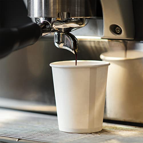 White Original Disposable Paper Coffee Cups with Lids (25 Count)