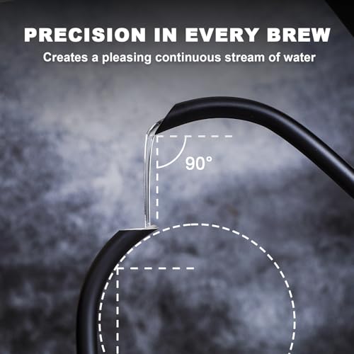 Electric Gooseneck Kettle with Thermometer