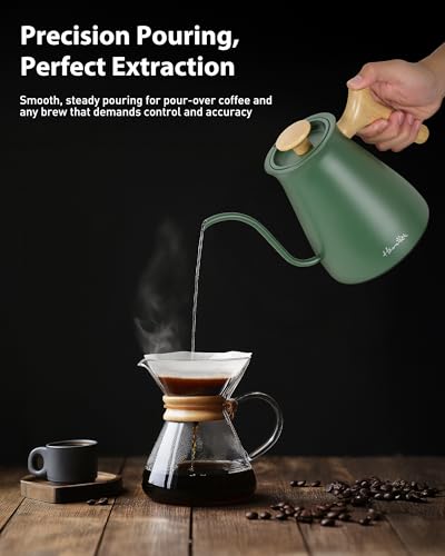Gooseneck Electric Kettle