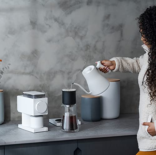 Stagg Pour Over Coffee Dripper 20 oz [XF]