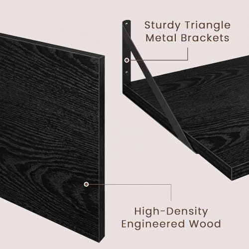 Wall Mounted Floating Shelves Set of 2 (2 Count)