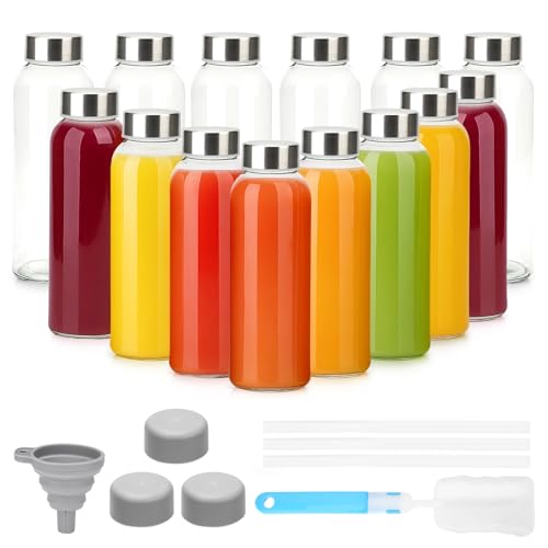 10 oz Glass Juice Bottles