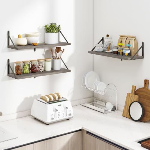 Floating Book Shelves for Wall (3 Count)