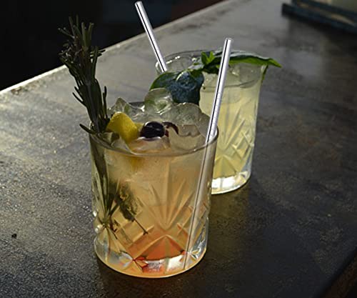 Cocktail Straws Short Stainless Steel Straw 6 Inch (8 Count)
