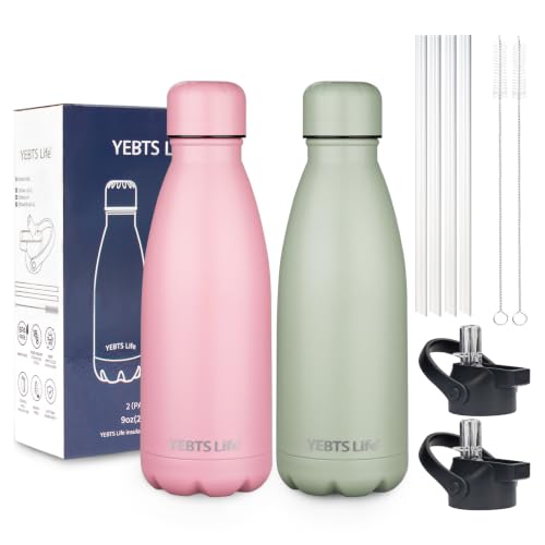 Insulated Water Bottle (2 Count)