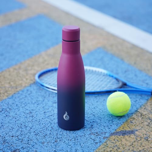 17 oz Insulated Thermal Metal Water Bottle
