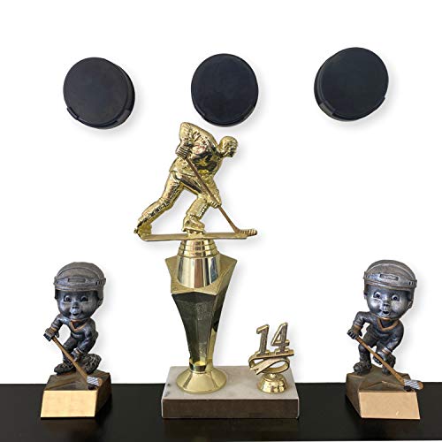 Hockey Puck Display Case Wall Mount