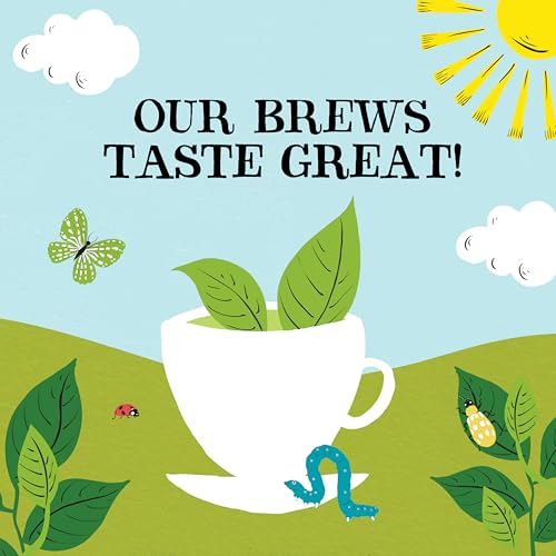 Clipper Organic Pure Green Tea (250 Count)