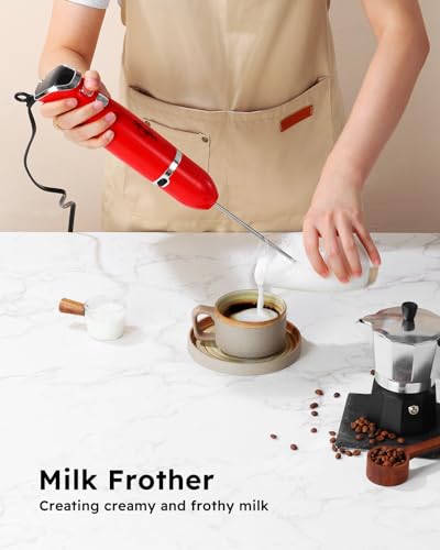 Immersion Blender Handheld