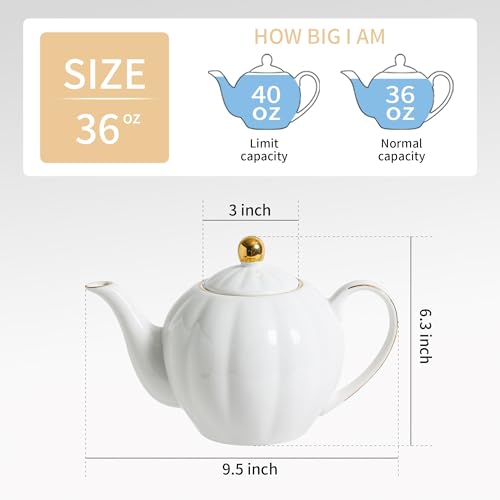 36oz White Porcelain Teapot with Gold Trim