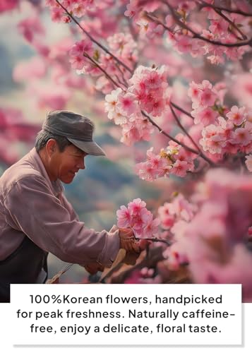 Korean Food KKOKDAM Cherry Blossom Flower Tea