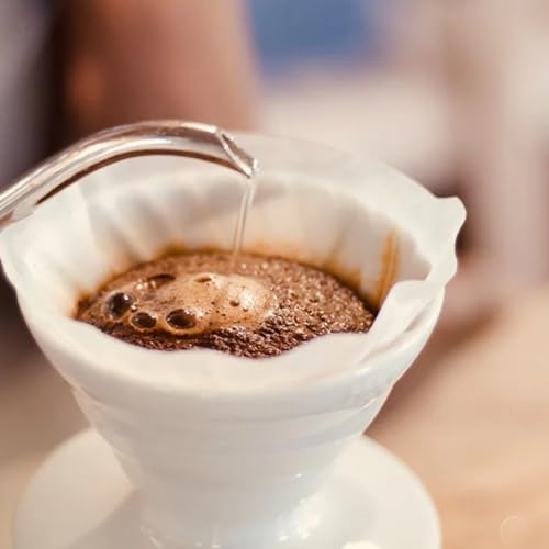 V60 Plastic Coffee Dripper Pour Over Cone Coffee Maker Size 02 (4 Count)