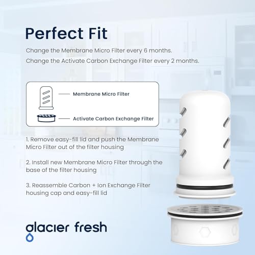 Pitcher Filters Compatible with LifeStraw (2 Count)