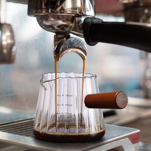 Espresso Cups 6 OZ