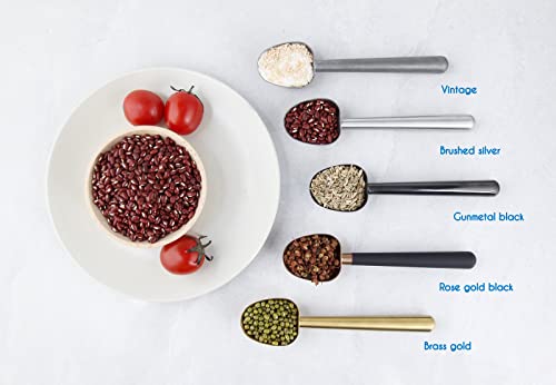 Stainless Steel Long Hollow Handle Coffee Scoop